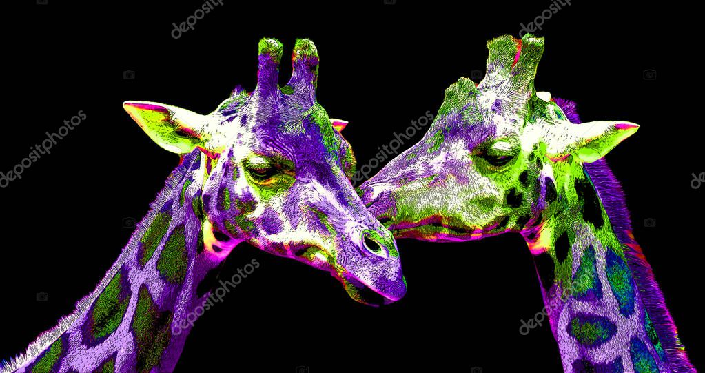 Zebras sign illustration pop-art background icon with color spots