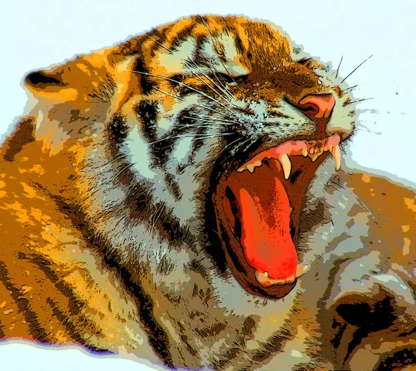 Tiger Kub Underteckna Illustration Pop Art Bakgrund Ikon Med Färg — Stockfoto