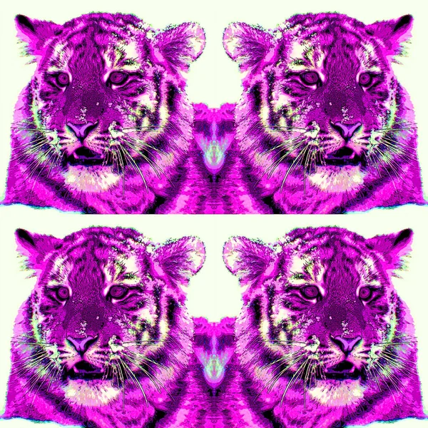 Tigris Kölyök Jel Illusztráció Pop Art Háttér Ikon Színes Foltok — Stock Fotó