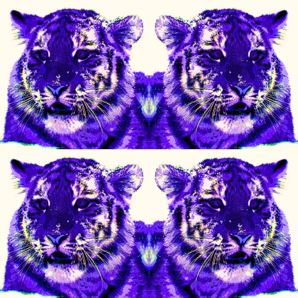 Tigris Kölyök Jel Illusztráció Pop Art Háttér Ikon Színes Foltok — Stock Fotó