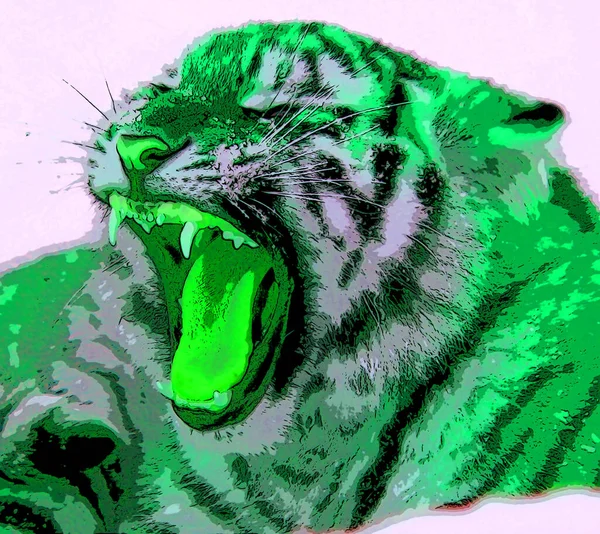 Tiger Cub Σύμβολο Εικονογράφηση Pop Art Φόντο Κηλίδες Χρώματος — Φωτογραφία Αρχείου