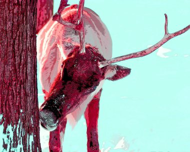 Siyah ve beyaz benekli pop sanat arkaplan simgesi üzerine ren geyiği