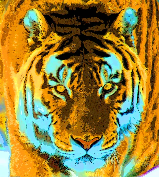 Tiger Tegn Illustration Pop Art Baggrund Ikon Med Farve Pletter - Stock-foto