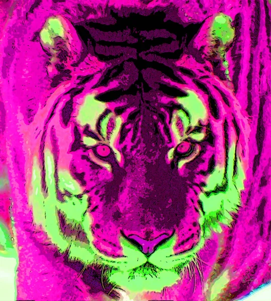 Tigre Signo Ilustración Pop Art Icono Fondo Con Manchas Color — Foto de Stock