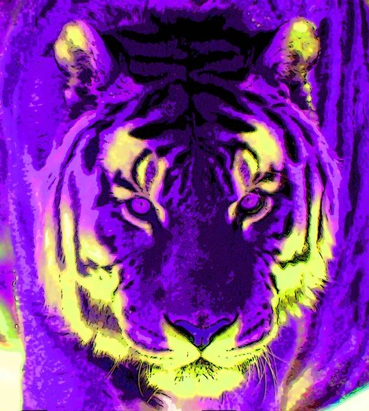 Tiger Sign Illustration Pop Art Background Icon Color Spots — Stock Photo, Image