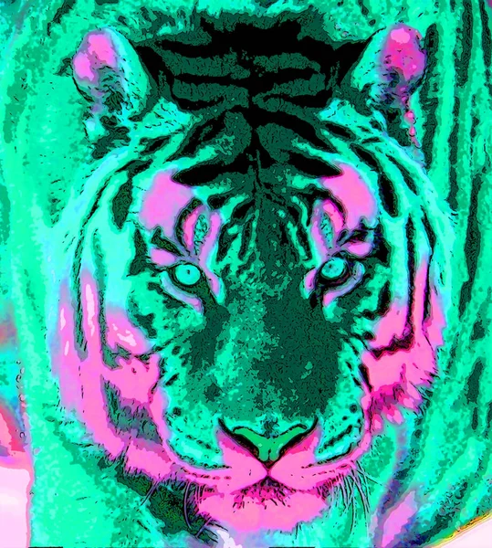 Tiger Signe Illustration Pop Art Icône Fond Avec Des Taches — Photo