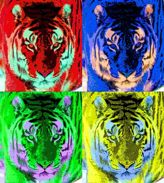 Tiger Zeichen Illustration Pop Art Hintergrund Symbol Mit Farbflecken — Stockfoto