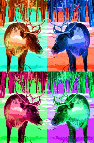 Reindeer Pop Art Background Icon Black White Spots — Stock Photo, Image