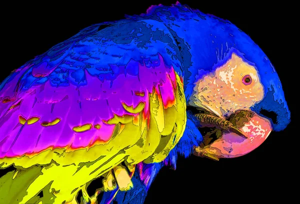 Kırmızı Macaw Ara Macao Renk Lekeli Pop Art Arkaplan Simgesi — Stok fotoğraf