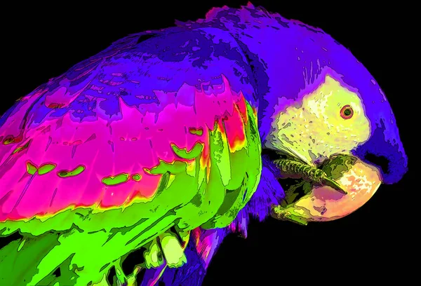 Kırmızı Macaw Ara Macao Renk Lekeli Pop Art Arkaplan Simgesi — Stok fotoğraf