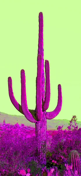 像亚利桑那州Saguaro Castus这样的人 他们的标志是带有彩色斑点的流行艺术背景图标 — 图库照片