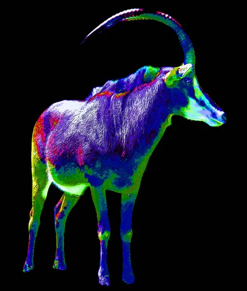 Pop Art Icon Wild Animal Horns Color Spots — 图库照片