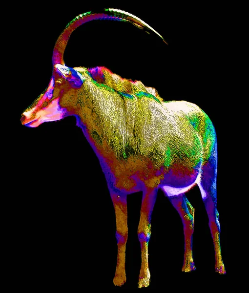 Pop Art Icon Wild Animal Horns Color Spots — Photo