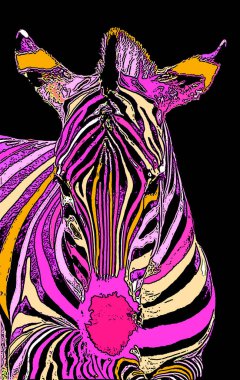 Zebralar renk lekeli pop-art arkaplan simgesini imzalarlar