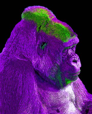 Renkli pop sanat gorili simgesi.