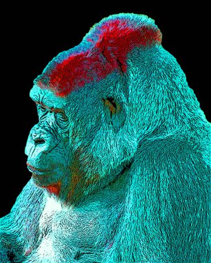 Renkli pop sanat gorili simgesi.