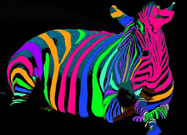 Zebras Σημάδι Εικονογράφηση Pop Art Εικονίδιο Φόντου Κηλίδες Χρώματος — Φωτογραφία Αρχείου