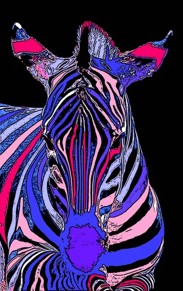 斑马标志图为带有色斑的流行艺术背景图标 — 图库照片