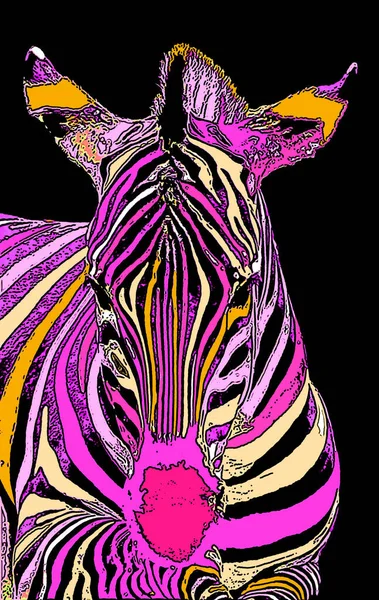 Zebras Sign Illustration Pop Art Background Icon Color Spots — Stock Photo, Image