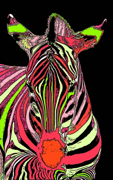 Zebras Σημάδι Εικονογράφηση Pop Art Εικονίδιο Φόντου Κηλίδες Χρώματος — Φωτογραφία Αρχείου