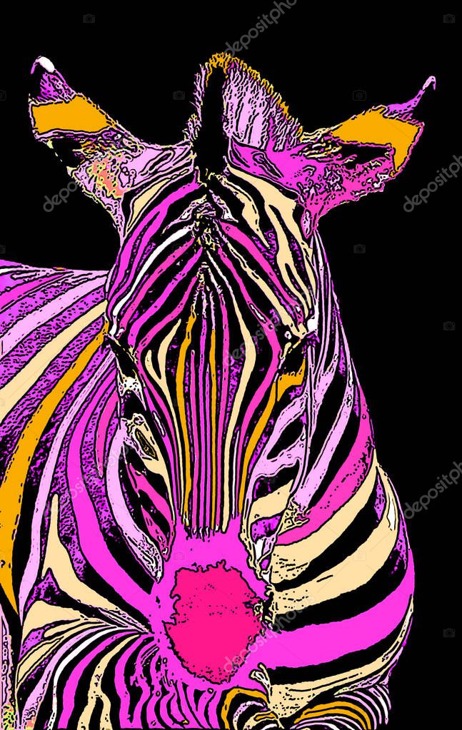 Zebras sign illustration pop-art background icon with color spots