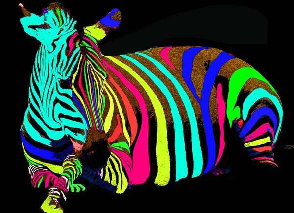 Zebras Sinal Ilustração Pop Art Ícone Fundo Com Manchas Cor — Fotografia de Stock