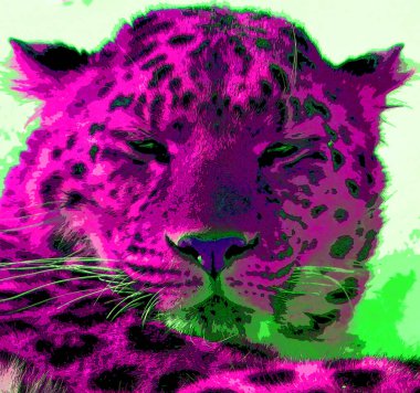 Amur leoparı, Rusya 'nın güneydoğusunda bulunan Primorye bölgesinde yaşayan bir leopar alt türüdür.