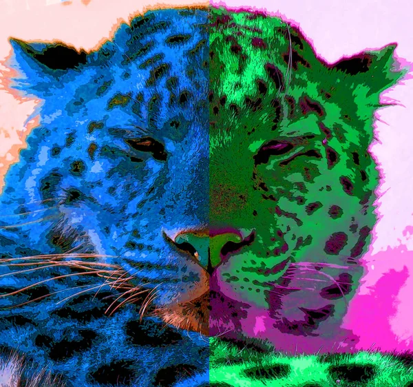 阿穆尔豹是原产于俄罗斯东南部普里莫耶地区的一种豹亚种 中国东北部吉林省签署了带有彩色斑点的流行艺术背景图标 — 图库照片