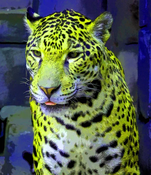 Pop Art Jaguar Icon Color Spots — Stock Photo, Image