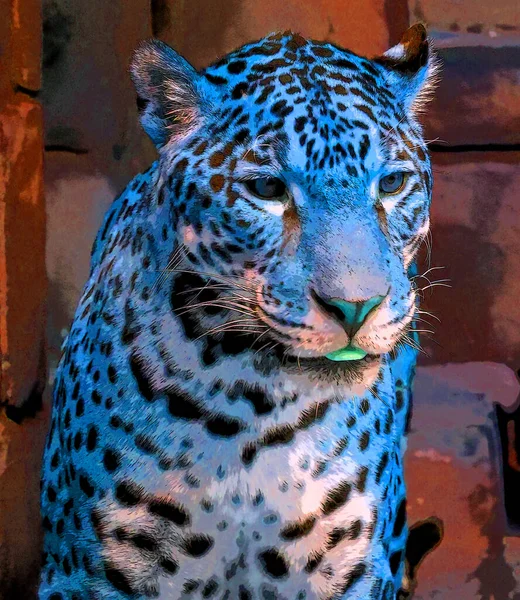 Pop Art Icône Jaguar Avec Des Taches Couleur — Photo
