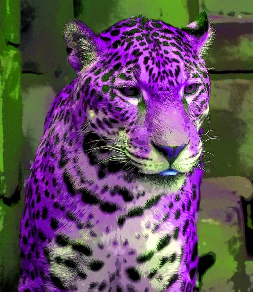 Pop Art Jaguar Icon Color Spots — Stock Photo, Image