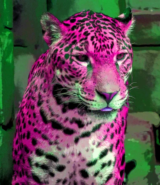 Pop Art Icône Jaguar Avec Des Taches Couleur — Photo