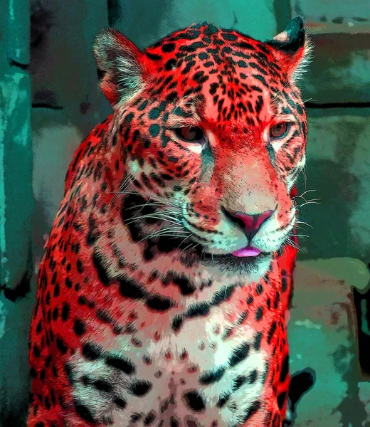 Pop Art Jaguar Icoon Met Kleurvlekken — Stockfoto