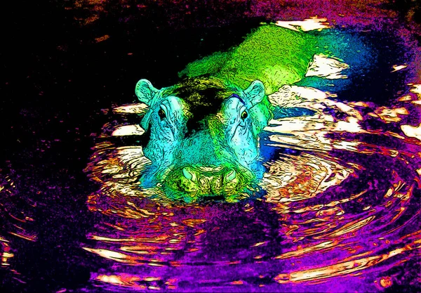 Hipopótamo Água Sinal Ilustração Pop Art Ícone Fundo Com Manchas — Fotografia de Stock