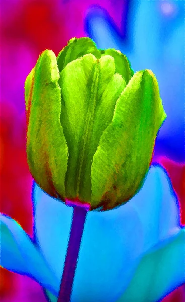 Tulips is a perennial, bulbous plant with showy flowers in the genus Tulipa, of which up to 109 species glossy glass sign illustration pop-art background icon with color spots