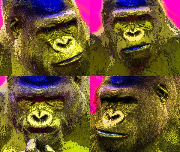 Gorilla Segno Illustrazione Pop Art Sfondo Icona — Foto Stock