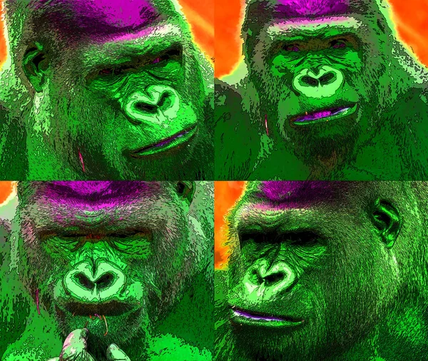 Gorilla Sign Illustration Pop Art Background Icon — ストック写真