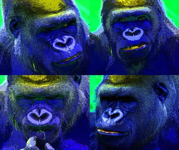 Gorilla Sign Illustration Pop Art Background Icon — Stockfoto