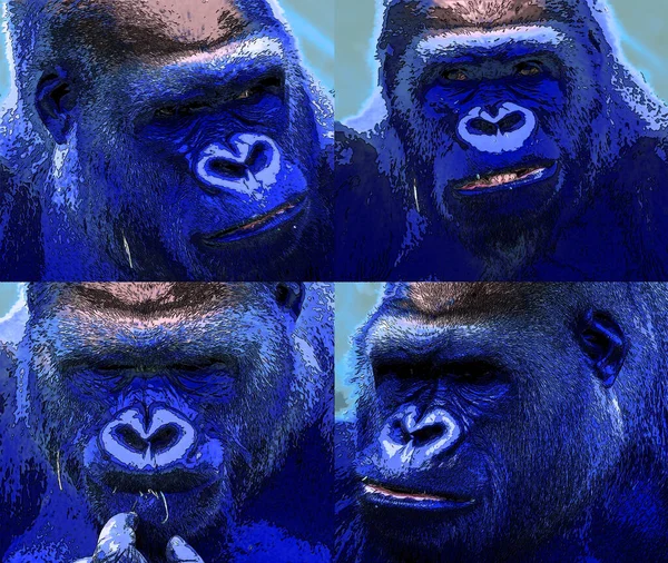 Gorila Znamení Ilustrace Pop Art Pozadí Ikona — Stock fotografie