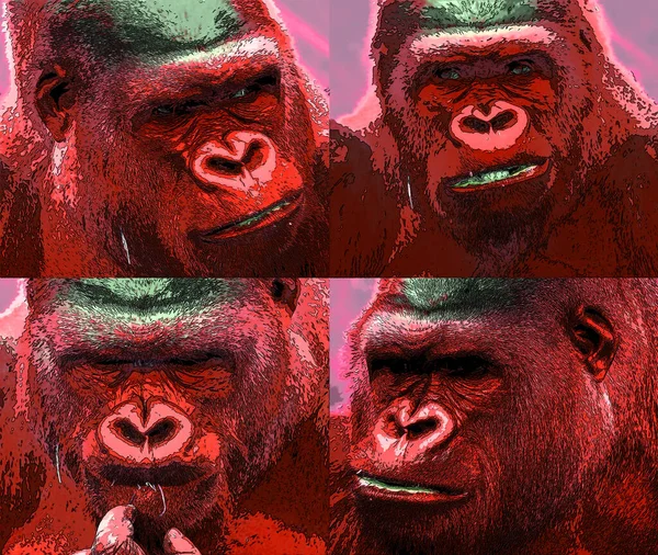 Gorila Sinal Ilustração Pop Art Ícone Fundo — Fotografia de Stock