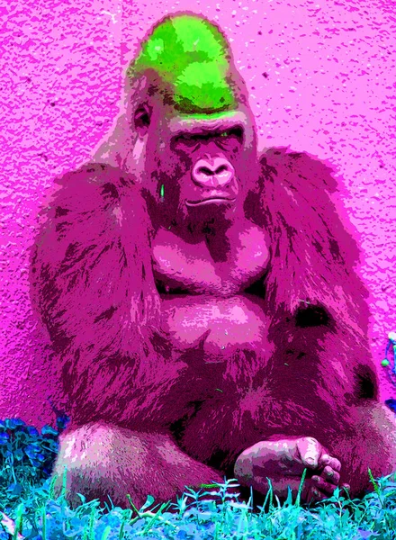 Gorilla Jel Illusztráció Pop Art Háttér Ikon — Stock Fotó