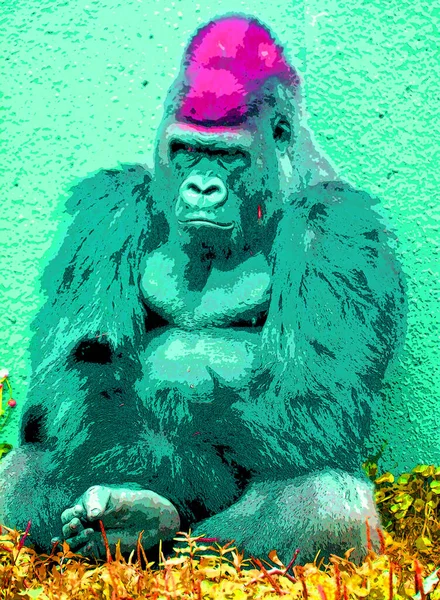 Goril Imzalı Pop Art Arkaplan Simgesi — Stok fotoğraf