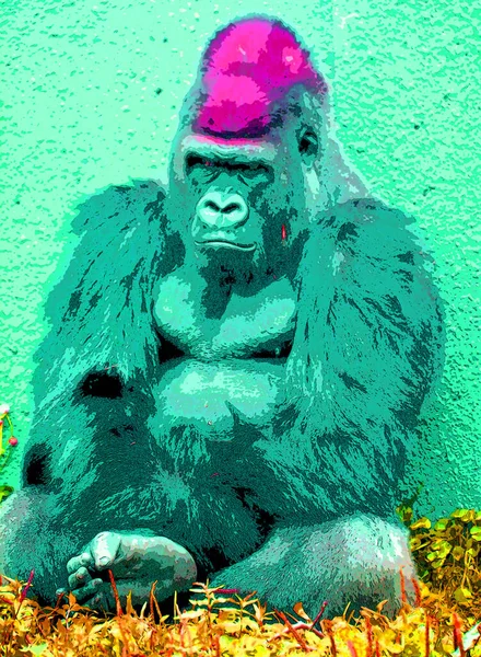 Gorilla Sign Illustration Pop Art Background Icon — ストック写真