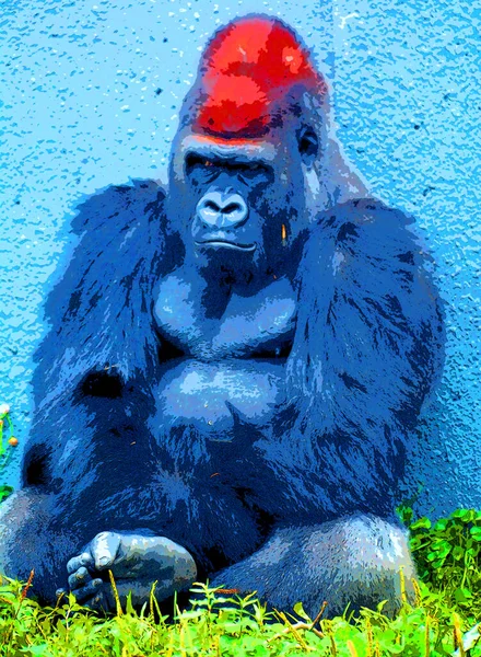 Gorilla Sign Illustration Pop Art Background Icon — Stockfoto