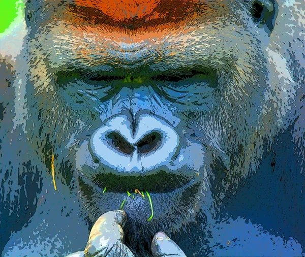 Gorilla Zeichen Illustration Pop Art Hintergrund Symbol — Stockfoto