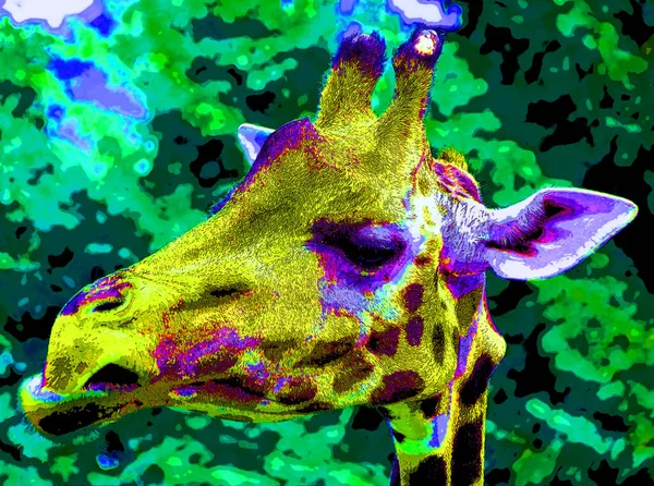 Segno Giraffa Illustrazione Pop Art Icona Sfondo Con Macchie Colore — Foto Stock