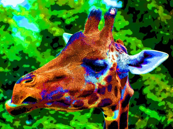 Giraffe Zeichen Illustration Pop Art Hintergrund Symbol Mit Farbflecken — Stockfoto