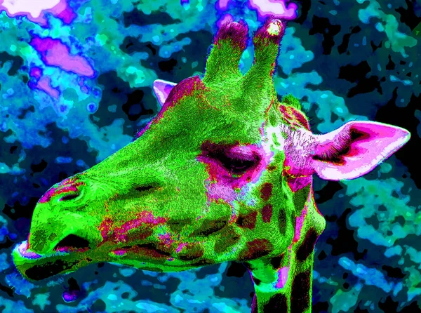 Żyrafa Znak Ilustracja Pop Art Tło Ikona Kolorowe Plamy — Zdjęcie stockowe