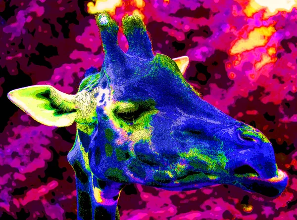 Girafe Signe Illustration Pop Art Icône Fond Avec Des Taches — Photo