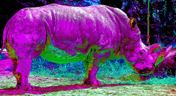 Signo Rinoceronte Ilustración Pop Art Icono Fondo Con Manchas Color — Foto de Stock